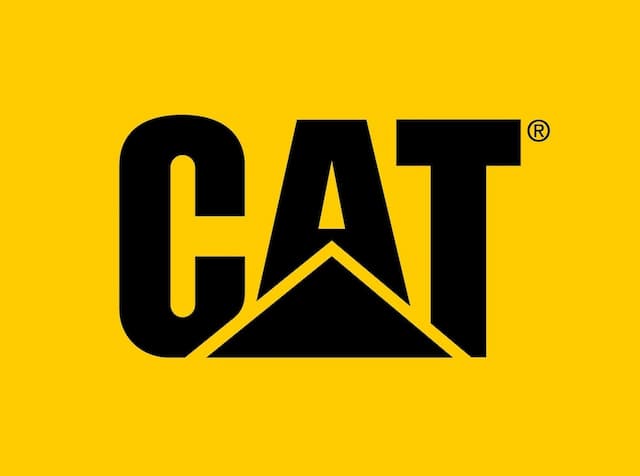 Cat Watches