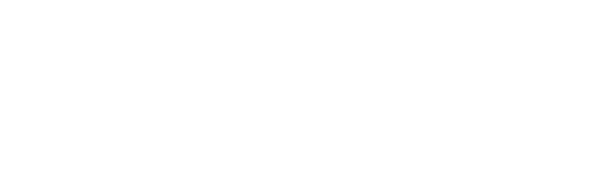 Sponsor
